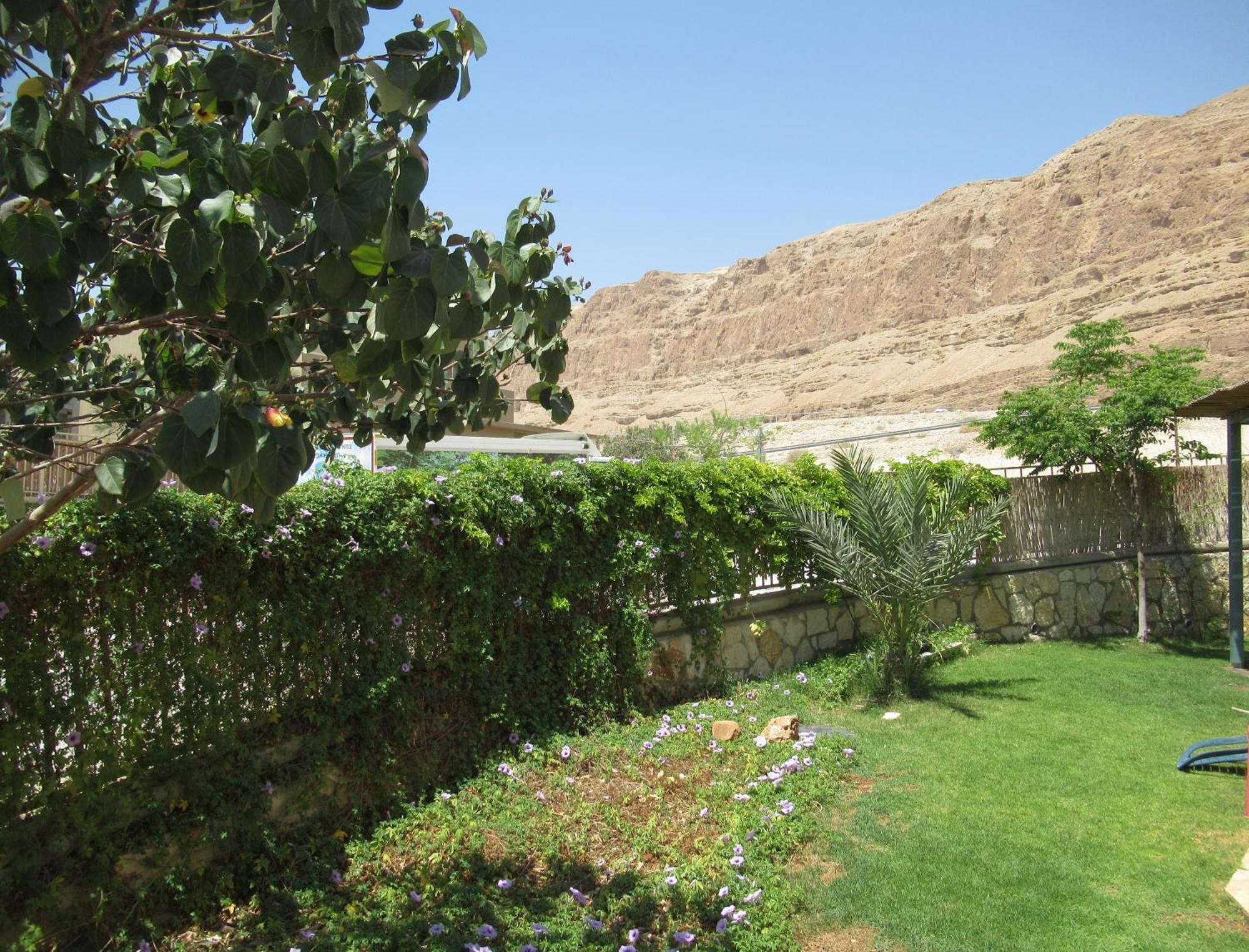 Unique&Warmy Place In The Dead Sea Avnat Exterior photo